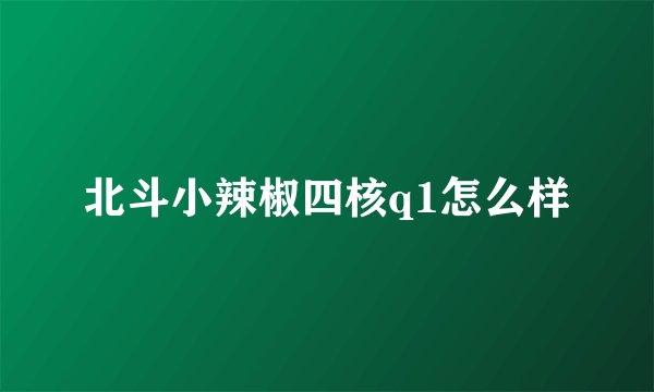 北斗小辣椒四核q1怎么样