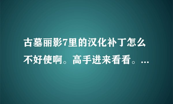 古墓丽影7里的汉化补丁怎么不好使啊。高手进来看看。给我解答解答。