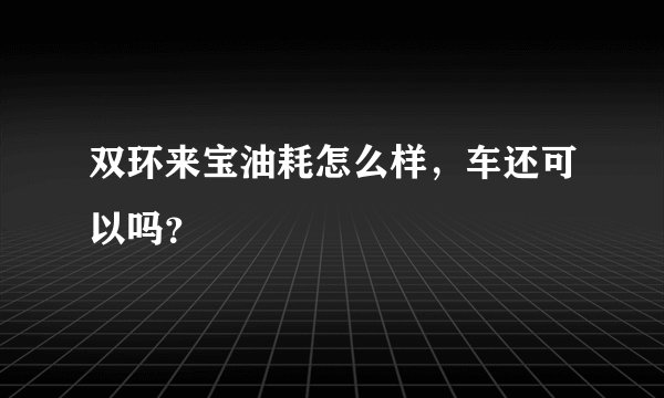 双环来宝油耗怎么样，车还可以吗？
