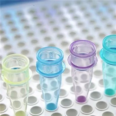 同房后几天能测出怀孕？