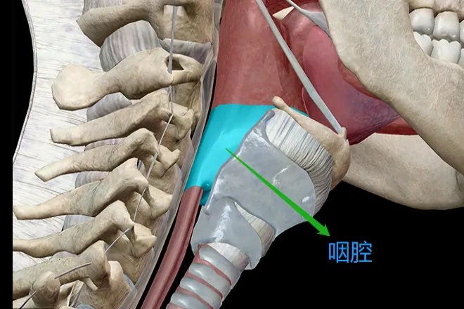 戏腔用哪个部位发声