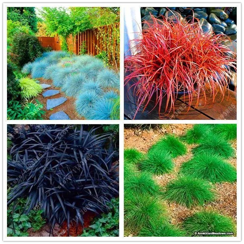 原创:花境按植物材料的分类及各自优缺点