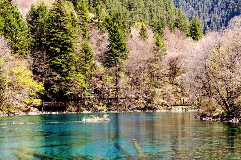 九寨沟9月27日恢复开园 九寨沟景区门票价格公布