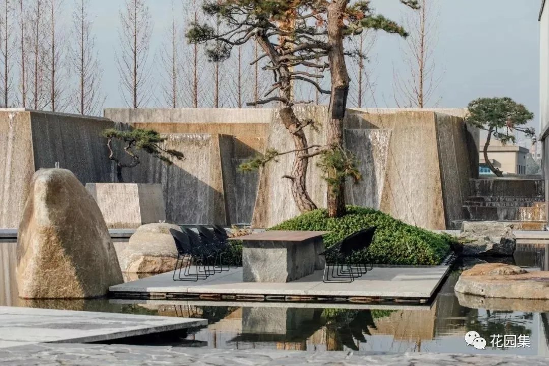 造型松，无奇不自由！气质庭院必备元素