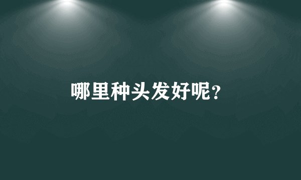 哪里种头发好呢？