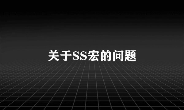 关于SS宏的问题
