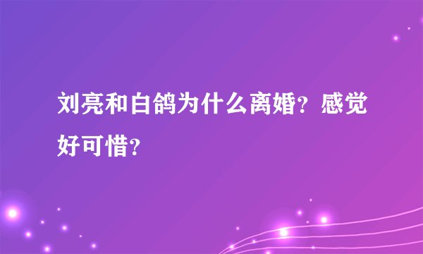 刘亮和白鸽为什么离婚？感觉好可惜？