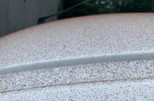 瑞士小镇下起巧克力雨是怎么回事 当地居民都惊呆了