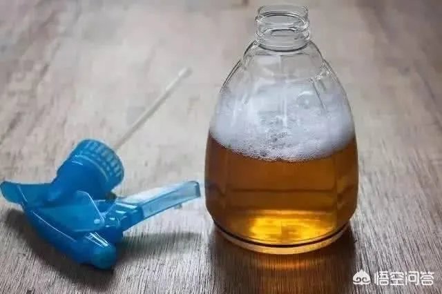 花盆里有小飞虫怎么办？