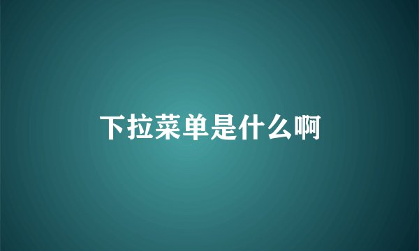 下拉菜单是什么啊