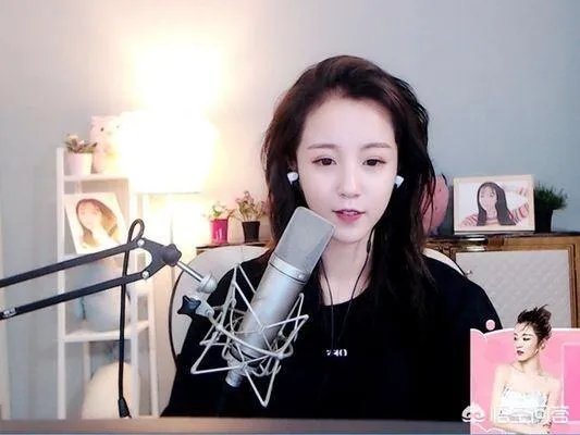 莉哥侮辱国歌被处罚这件事你怎么看？