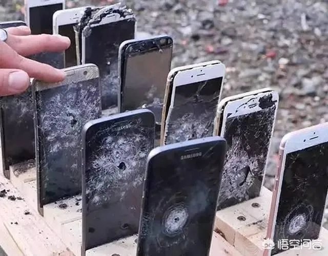 龟壳可以防御子弹吗