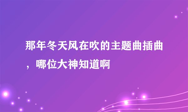 那年冬天风在吹的主题曲插曲，哪位大神知道啊