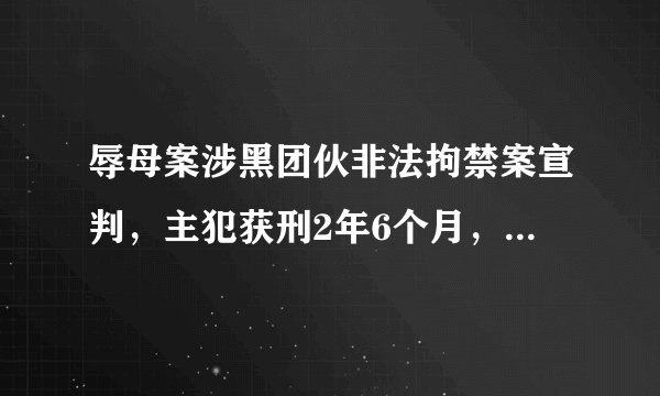 辱母案涉黑团伙非法拘禁案宣判，主犯获刑2年6个月，你们怎么看？