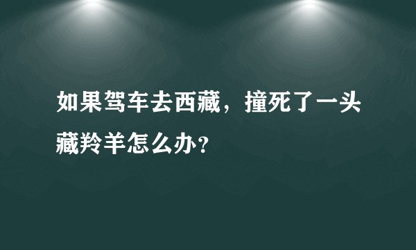 如果驾车去西藏，撞死了一头藏羚羊怎么办？