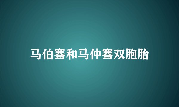 马伯骞和马仲骞双胞胎