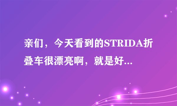亲们，今天看到的STRIDA折叠车很漂亮啊，就是好贵哦，该不该买？
