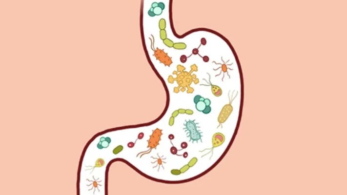 老人便血是什么原因造成的