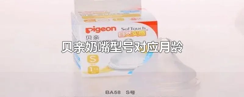 贝亲奶嘴型号对应月龄