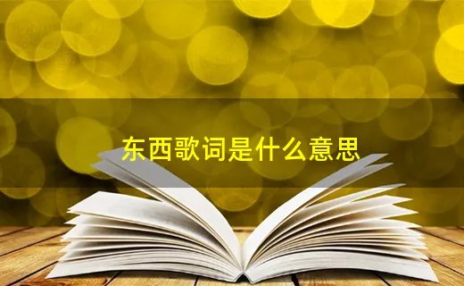 东西歌词是什么意思