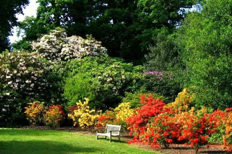 原创:花境按植物材料的分类及各自优缺点