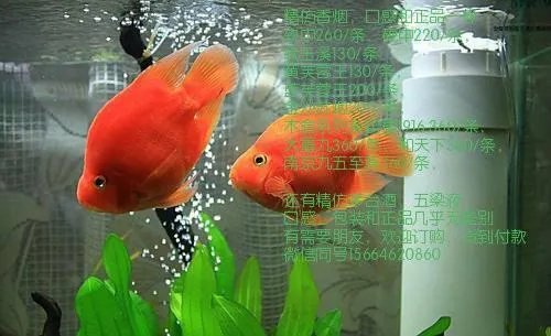 东莞五金加工厂有哪些？