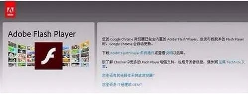 adobe flash player 过期怎么处理