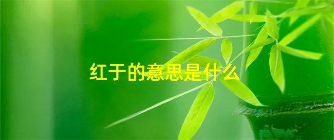 红于的意思是什么