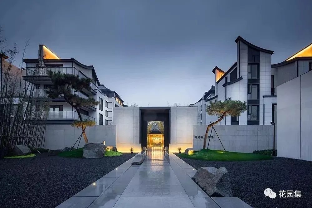 造型松，无奇不自由！气质庭院必备元素