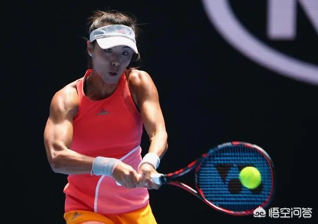 2019澳网中国网球金花你更看好谁？