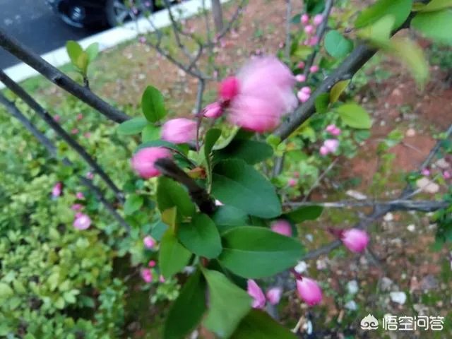 成为流浪汉是什么体验？