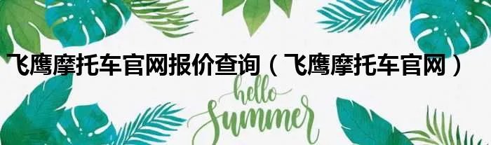 飞鹰摩托车官网报价查询（飞鹰摩托车官网）