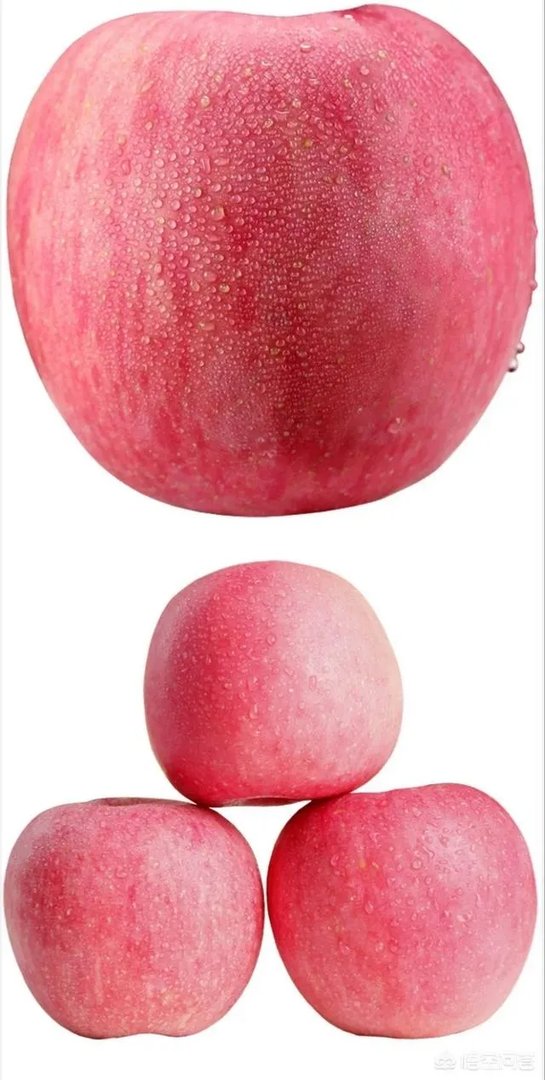 水果价格还会持续上升吗?