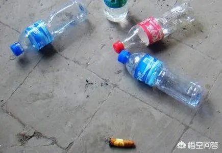 花盆里有小飞虫怎么办？