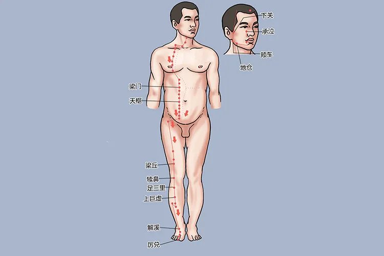 膝盖周围的经络图