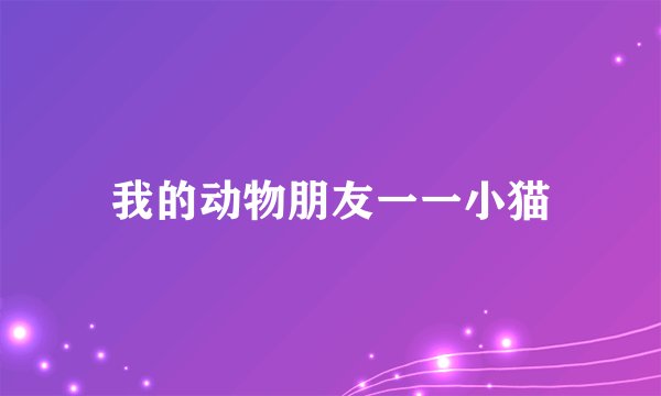 我的动物朋友一一小猫