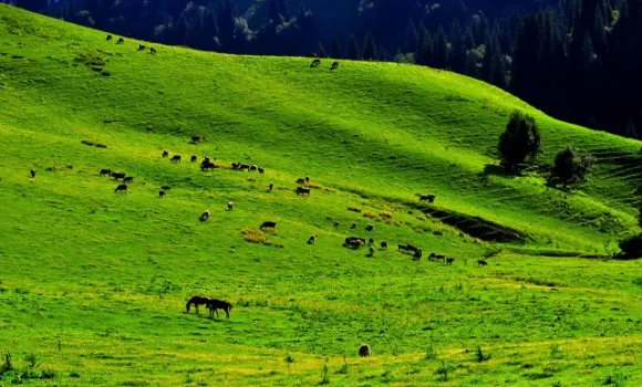 国内自驾游经典线路