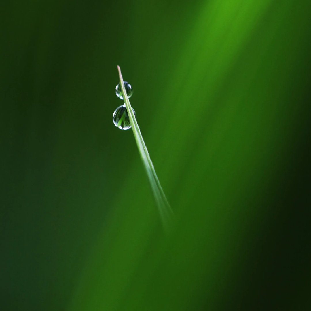 雨露文章网的网站寄语