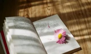 华灯初上夜未央是什么意思  华灯初上夜未央的含义