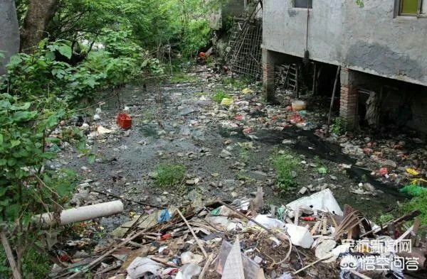 女子攒破烂堆满房间，多部门清理清出一座小山，你如何看这件事？