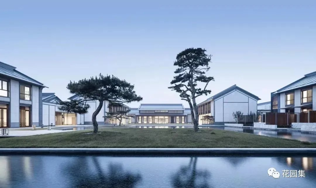 造型松，无奇不自由！气质庭院必备元素