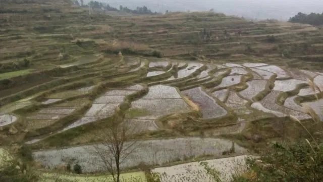 怎么用土法丈量不规则的田土面积？