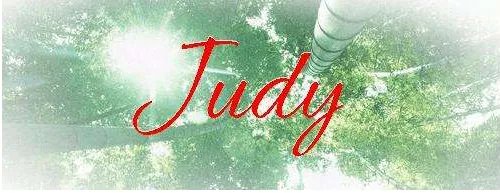 Judy这个英文名意思是什么？有什么含义么？？