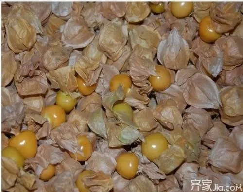 含羞果的功效   含羞果怎么吃