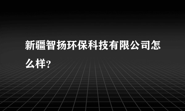 新疆智扬环保科技有限公司怎么样？