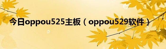 今日oppou525主板（oppou529软件）