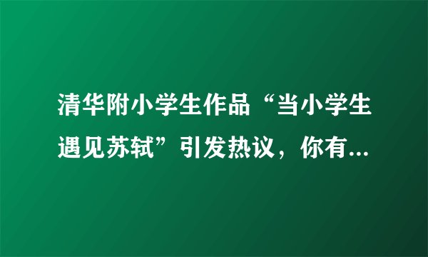 清华附小学生作品“当小学生遇见苏轼”引发热议，你有哪些在小时候就印象深刻的文化历史名人？