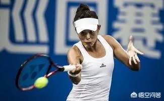 2019澳网中国网球金花你更看好谁？