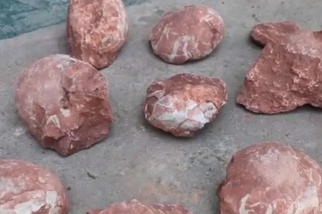 江西工地挖出6600万年前恐龙蛋化石，究竟长什么样？