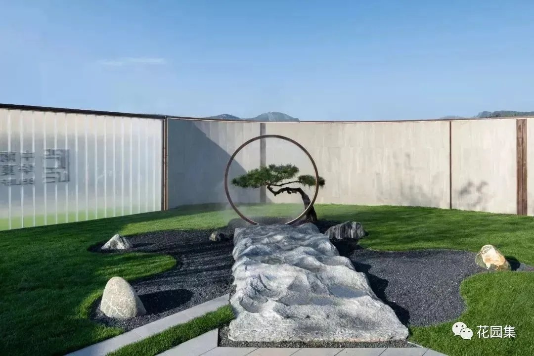 造型松，无奇不自由！气质庭院必备元素